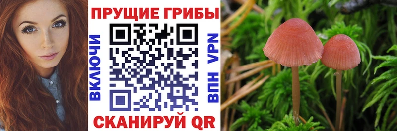 Псилоцибиновые грибы Magic Shrooms  купить наркотик  Аргун 